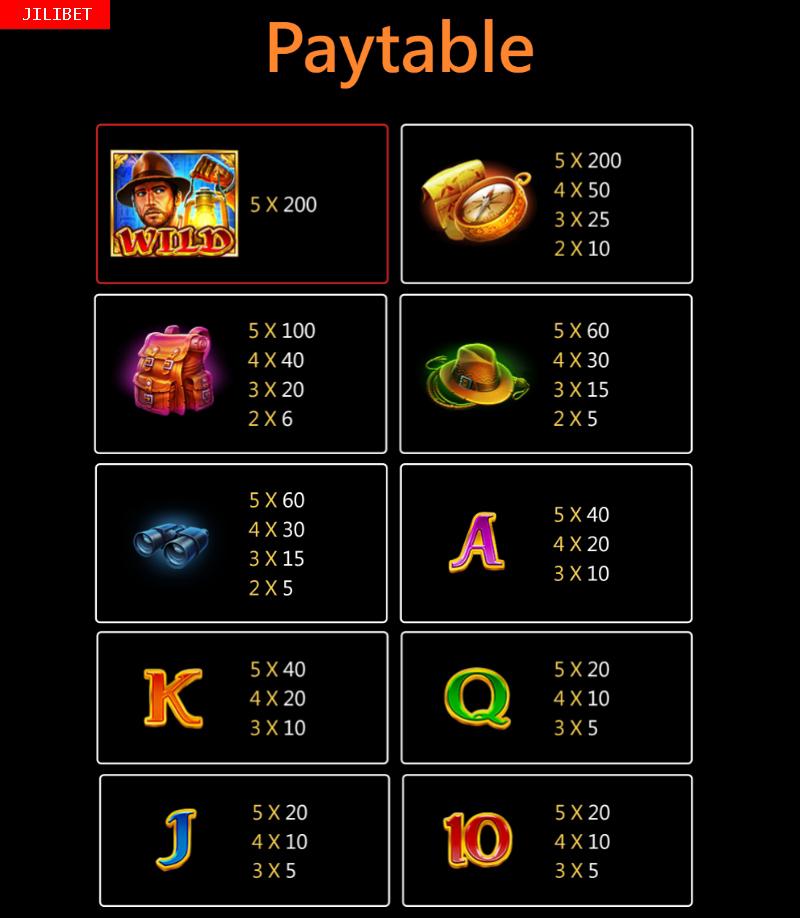 Phl63 Book of Gold Slot Machine Paytable